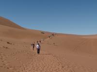Singlereise Namibia – Sanddüne Big Daddy &ndash; &copy; Franziska Bergmann (Eberhardt TRAVEL)