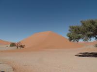 Singlereise Namibia – Düne 45 &ndash; &copy; Franziska Bergmann (Eberhardt TRAVEL)