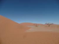 Singlereise Namibia – Düne 45 &ndash; &copy; Franziska Bergmann (Eberhardt TRAVEL)