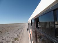 Singlereise Namibia – Etosha Nationalpark &ndash; &copy; Franziska Bergmann (Eberhardt TRAVEL)