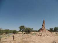 Singlereise Namibia – Termitenhügel &ndash; &copy; Franziska Bergmann (Eberhardt TRAVEL)