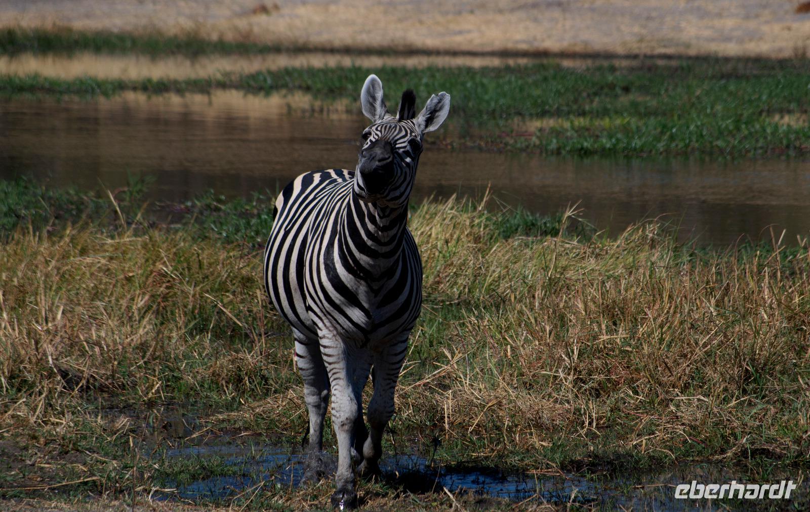 Hello! &ndash; &copy; Annett Müller (Eberhardt TRAVEL)