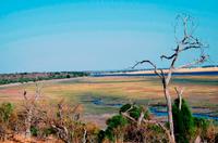 Chobe NP &ndash; &copy; Annett Müller (Eberhardt TRAVEL)