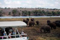 Chobe NP - B &ndash; &copy; Annett Müller (Eberhardt TRAVEL)