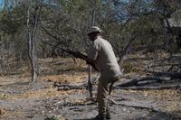 Auf zum Bush Walk in der Kwhai Region &ndash; &copy; Annett Müller (Eberhardt TRAVEL)