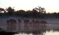 Sonnenuntergang am Khwai Fluss &ndash; &copy; Annett Müller (Eberhardt TRAVEL)