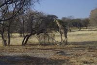 Royal Tree Lodge - auf dem Gelände entdeckt &ndash; &copy; Annett Müller (Eberhardt TRAVEL)