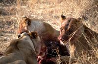 IMG4021 &ndash; &copy; Annett Müller (Eberhardt TRAVEL)
