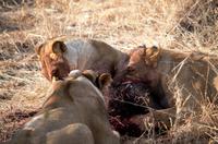 IMG4026 &ndash; &copy; Annett Müller (Eberhardt TRAVEL)