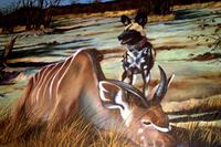 Painted Dog Conservation - Projekt zum Schutz der Wildhunde &ndash; &copy; Annett Müller (Eberhardt TRAVEL)