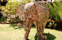 Der 684. Elefant &ndash; &copy; Annett Müller (Eberhardt TRAVEL)