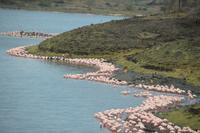 Flamingo Halskette momella see &ndash; &copy; Hubert Lücker (Eberhardt TRAVEL)