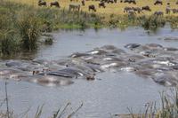 Hippopool ngorongoro &ndash; &copy; Hubert Lücker (Eberhardt TRAVEL)