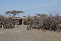 massai Boma &ndash; &copy; Hubert Lücker (Eberhardt TRAVEL)