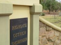 Highgate Straußenfarm &ndash; &copy; Kathrin Mickan (Eberhardt TRAVEL)