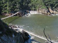 Tsitzikama NP Hängebrücke &ndash; &copy; Kathrin Mickan (Eberhardt TRAVEL)