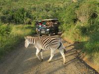 Umfolozi Straßenverkehr &ndash; &copy; Kathrin Mickan (Eberhardt TRAVEL)