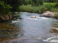Gecko Lodge &ndash; &copy; Kerstin Hugel (Eberhardt TRAVEL)