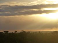 Krüger NP &ndash; &copy; Kerstin Hugel (Eberhardt TRAVEL)