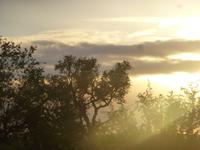 Krüger NP &ndash; &copy; Kerstin Hugel (Eberhardt TRAVEL)