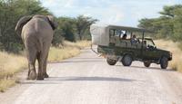 wem gehört hier die Straße? &ndash; &copy; Susanne Schirmann (Eberhardt TRAVEL)