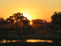 Mababe Konsesion - Sonnenuntergang am Khwai River &ndash; &copy; Annette Weise (Eberhardt TRAVEL)