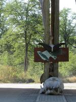 Fahrt nach Maun - Pirschfahrt im Moremi Reservat  - Süd Gate &ndash; &copy; Annette Weise (Eberhardt TRAVEL)