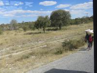 Fahrt nach Nata - &ndash; &copy; Annette Weise (Eberhardt TRAVEL)