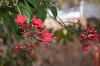 Tsumeb &ndash; &copy; Maria Schneider (Eberhardt TRAVEL)