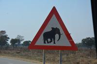 Achtung Elefanten  &ndash; &copy; Maria Schneider (Eberhardt TRAVEL)