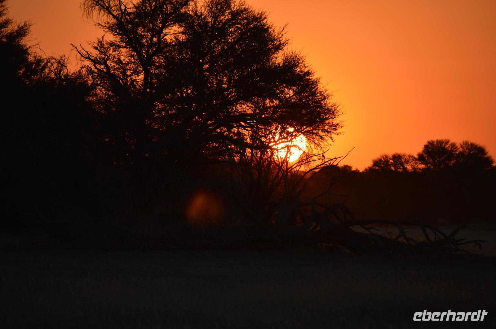 torgos sundowner &ndash; &copy; Hubert Lücker (Eberhardt TRAVEL)