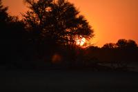 torgos sundowner &ndash; &copy; Hubert Lücker (Eberhardt TRAVEL)