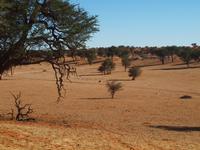 im Intu Afrika Kalahari Reservat &ndash; &copy; Juliane Voigt (Eberhardt TRAVEL)