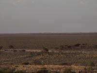 im Etosha Nationalpark &ndash; &copy; Juliane Voigt (Eberhardt TRAVEL)