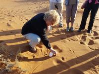 Namibia, Sossusvlei &ndash; &copy; Ria Heilmann (Eberhardt TRAVEL)