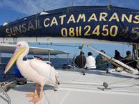 Namibia, Walvis Bay &ndash; &copy; Ria Heilmann (Eberhardt TRAVEL)