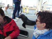Namibia, Walvis Bay &ndash; &copy; Ria Heilmann (Eberhardt TRAVEL)