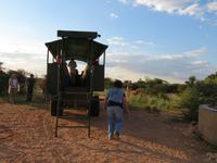 Game Drive Pause &ndash; &copy; Kathrin Mickan (Eberhardt TRAVEL)