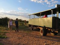 Game Drive Pause &ndash; &copy; Kathrin Mickan (Eberhardt TRAVEL)