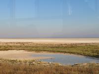 Etosha &ndash; &copy; Kathrin Mickan (Eberhardt TRAVEL)
