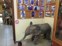Museum Tsumeb &ndash; &copy; Kathrin Mickan (Eberhardt TRAVEL)