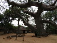 Caprivi Dorf
