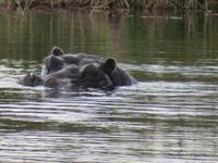 ich seh Euch &ndash; &copy; Kathrin Mickan (Eberhardt TRAVEL)
