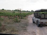 im Chobe NP &ndash; &copy; Kathrin Mickan (Eberhardt TRAVEL)