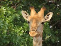 was guckst Du... &ndash; &copy; Kathrin Mickan (Eberhardt TRAVEL)