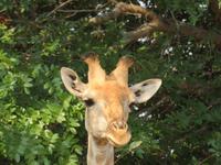haaaaallo &ndash; &copy; Kathrin Mickan (Eberhardt TRAVEL)