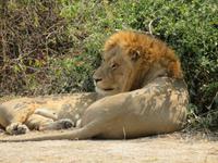 was guckt Ihr &ndash; &copy; Kathrin Mickan (Eberhardt TRAVEL)