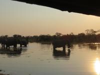 Elefanten beim Bad &ndash; &copy; Kathrin Mickan (Eberhardt TRAVEL)
