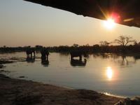 Elefanten im Sonnenuntergang &ndash; &copy; Kathrin Mickan (Eberhardt TRAVEL)