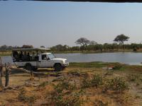 Game Drive am Khwai Fluss &ndash; &copy; Kathrin Mickan (Eberhardt TRAVEL)